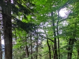 Wanderung  Höhenberg