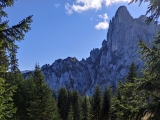 Der nicht markierte aber sehr deutlich erkennbare Pfad mit Blick zur Hörndlwand (Ostgipfel) (Foto gespeichert zu <a href=/wanderweg/hoerndlalm-sulzgrabenkopf-6005/>Weg</a>),#