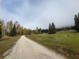 Im Gaistal bei der Gaistalalm,#
