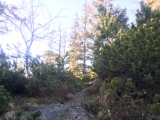Stetig bergauf aber leicht zu gehen,#
