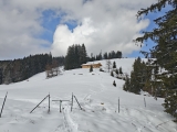 Holzeralm