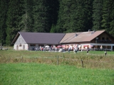Vilsalpe (Foto gespeichert zu Ziel Vilsalpe),#