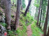 Ein toller, alter Steig,#