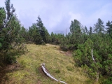 Jöchle