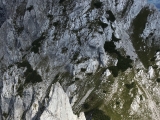 Blick vom <a href=/gipfel/zettenkaiser-34363/>Zettenkaiser</a> auf die <a href=/gipfel/kaindlnadel-16308/>Kaindlnadel</a> (Foto gespeichert zu <a href=/gipfel/kaindlnadel-16308/>Kaindlnadel</a>) (Foto gespeichert zu Ausgangspunkt Zettenkaiser),#