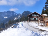 Kappeler Alp