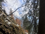 Kemeikopf