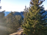 Abstieg vom Türkenköpfl (Foto gespeichert zu <a href=/wanderweg/tuerkenkoepfl-kirchwand-71/>Weg</a>),#