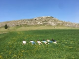 Blick auf die <b>Große Ofnethöhle</b>  (links) und die <a href=/freizeit/kleine-ofnethoehle-54080/>Kleine Ofnethöhle</a>  (rechts) (Foto gespeichert zu <a href=/freizeit/kleine-ofnethoehle-54080/>Kleine Ofnethöhle</a>),#
