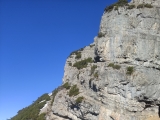 Aufstieg bis in den Sattel neben dem Zigerstein nur T4 (Foto gespeichert zu <a href=/wanderweg/bichlbach-zigerstein-24305/>Weg</a>),#