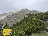 Kreuzjöchl,#