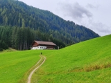 Kurz vor dem Sattelbauer,#