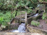 Levada do Furado