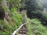 Aufstieg zur auf mittlerer Höhe liegenden <a href=/freizeit/levada-nova-153420/>Levada Nova</a> (Foto gespeichert zu <a href=/wanderweg/levada-de-moinho-levada-nova-24651/>Weg</a>) (Foto gespeichert zu Ziel Levada Nova),#
