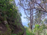 Die sehr verfallene <b>Levada do Techo</b>   (Foto gespeichert zu <a href=/wanderweg/levada-do-techo-parkplatz-igreja-da-lombada-24650/>Weg</a>),#