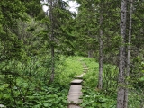 Weg,#