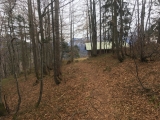 Kurz vor der <a href=/freizeit/altrett-diensthuette-93281/>Altrett Diensthütte</a>  (Foto gespeichert zu <a href=/wanderweg/altrett-diensthuette-litzlbachhoerndl-1987/>Weg</a>) (Foto gespeichert zu Ausgangspunkt Altrett Diensthütte),#