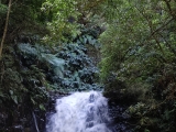 Wasserfall (Foto gespeichert zu Ausgangspunkt Madre da Levada Nova),#