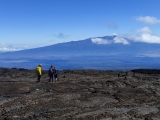 Mauna Loa