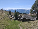 Steinalm