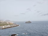 Genoves