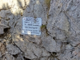 Leiter in das Mittagsloch (Foto gespeichert zu Ziel Mittagsloch Nord),#