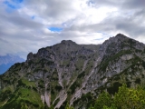 Mittergern