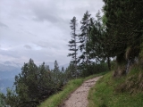 Ehemaliger Reitweg von König Max,#