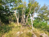 Wanderung  Monte Minisfreddo