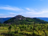 Motovun