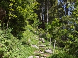 Abstieg beim Gsponbachfall zum Parkplatz,#