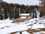 Nassereither Alm