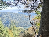 Aussichtsbank mit Ferchensee-Blick,#
