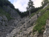 Drahtseilgesicherter Aufstieg vom Schindertor zum <b>Österreichischer Schinder</b>  (Foto gespeichert zu <a href=/wanderweg/bayerischer-schinder-oesterreichischer-schinder-4135/>Weg</a>),#