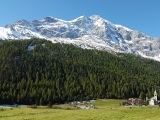 Ortler,#