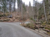 Kienberg