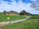 Kitzstein