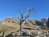 Hinten rechts die <a href=/freizeit/stevia-huette-153666/>Stevia Hütte </a>  ,#