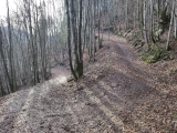 Forststraße aber in schön,#