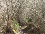 Weg,#