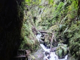 PR16 Levada Fajã do Rodrigues