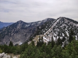 Blick zum <a href=/gipfel/dreisesselberg-3424/>Dreisesselberg,</a> <a href=/gipfel/karkopf-170/>Karkopf</a> und <a href=/gipfel/hochschlegel-1252/>Hochschlegel</a> (vlnr) (Foto gespeichert zu Ziel Predigtstuhl),#