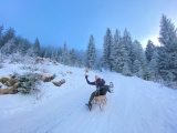 Rodeln,#Foto: JuttaS