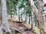 Weg,#