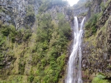 Risco
