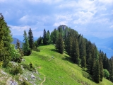 Weg,#