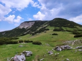 Weg auf Latschberg zu (Foto gespeichert zu <a href=/wanderweg/marchgatterl-latschberg-18995/>Weg</a>),#