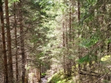 Weg,#