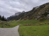 Forststraße zum Sämtisersee unter dem <a href=/gipfel/hueser-35540/>Hüser</a> (Foto gespeichert zu <a href=/wanderweg/berggasthaus-bollenwees-berggasthaus-plattenboedeli-23979/>Weg</a>) (Foto gespeichert zu Ziel Hüser),#