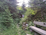 Schatzloch,#